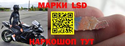 прущие грибы Кунгур