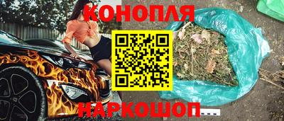 прущие грибы Кунгур